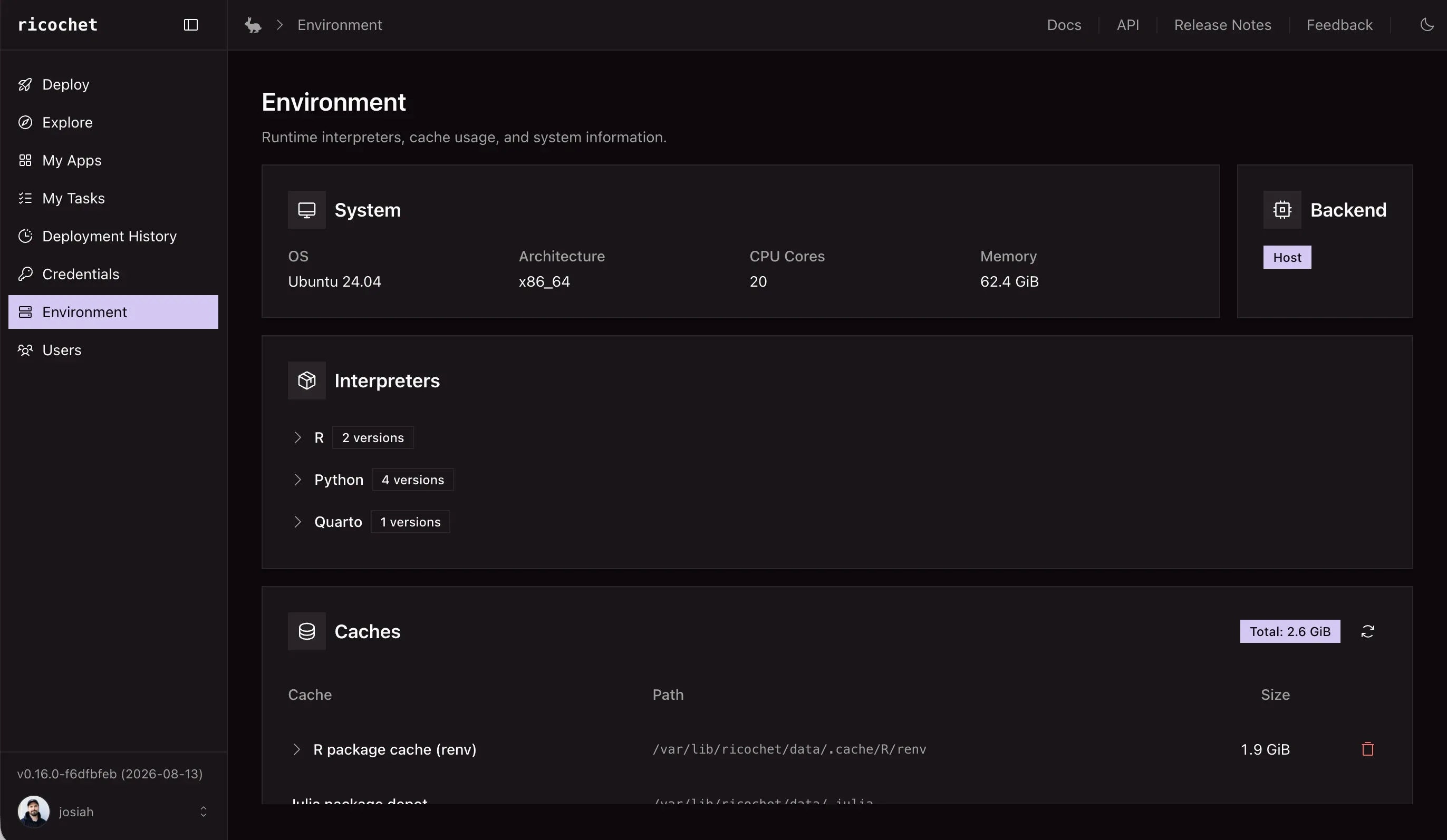 The ricochet environment page, showing system information, installed R, Python, and Quarto interpreter versions, and package cache sizes including the R renv cache and Julia package depot.