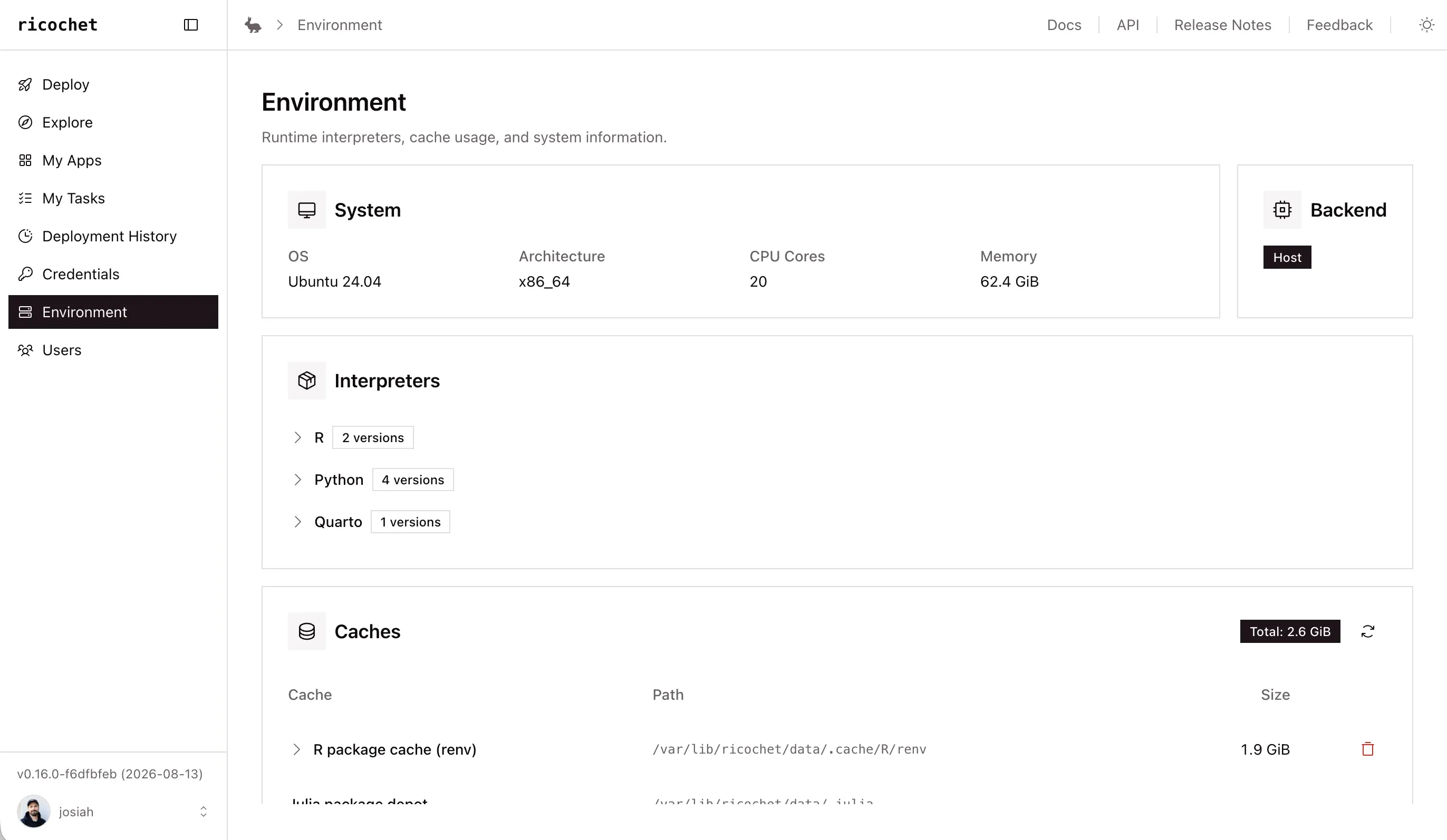 The ricochet environment page, showing system information, installed R, Python, and Quarto interpreter versions, and package cache sizes including the R renv cache and Julia package depot.